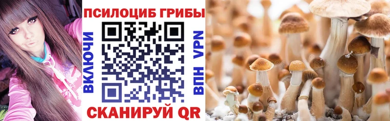 Галлюциногенные грибы Cubensis  где купить наркоту  блэк спрут ONION  Печора 