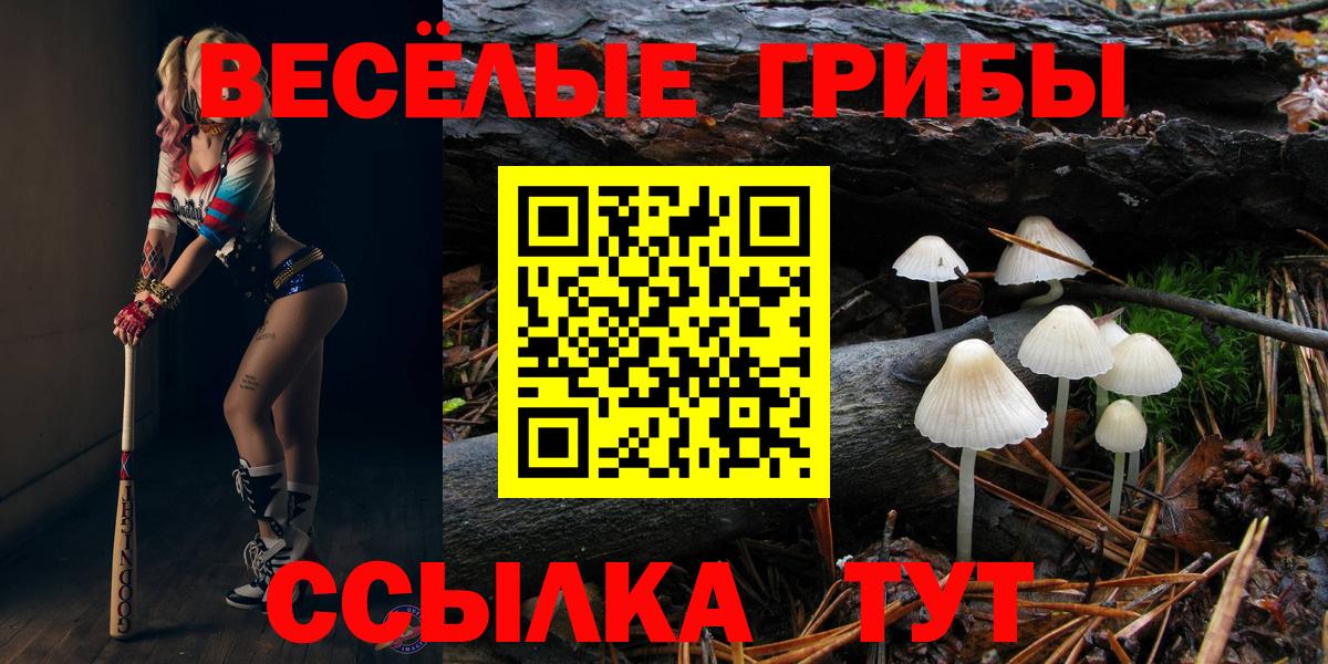 Галлюциногенные грибы MAGIC MUSHROOMS  Вход с VPN  Галлюциногенные грибы мицелий  Печора 