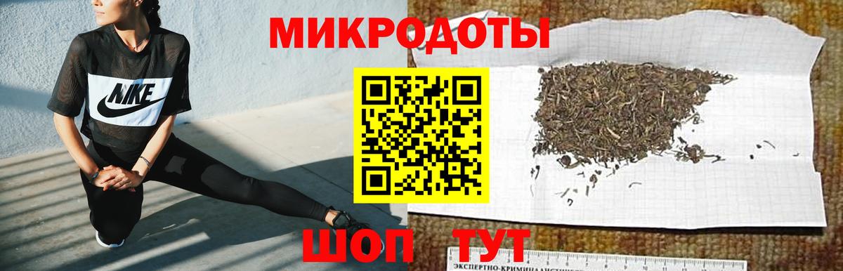 Псилоцибиновые грибы Psilocybe Печора